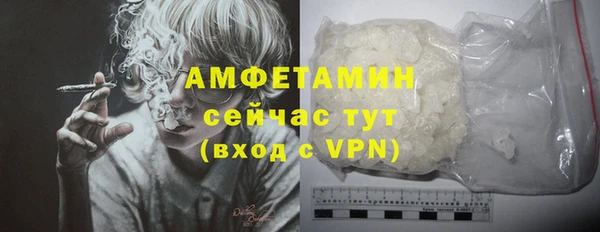 стафф Богданович