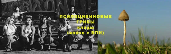 mdpv Беломорск