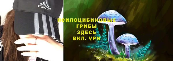 стафф Богданович