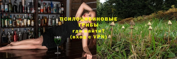 ECSTASY Богородск