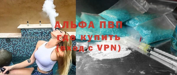 стаф Белокуриха