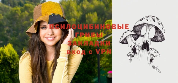 ECSTASY Богородицк