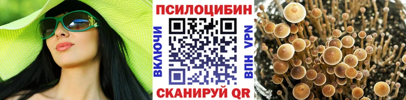 Галлюциногенные грибы Cubensis  Бузулук 